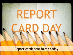 report cards